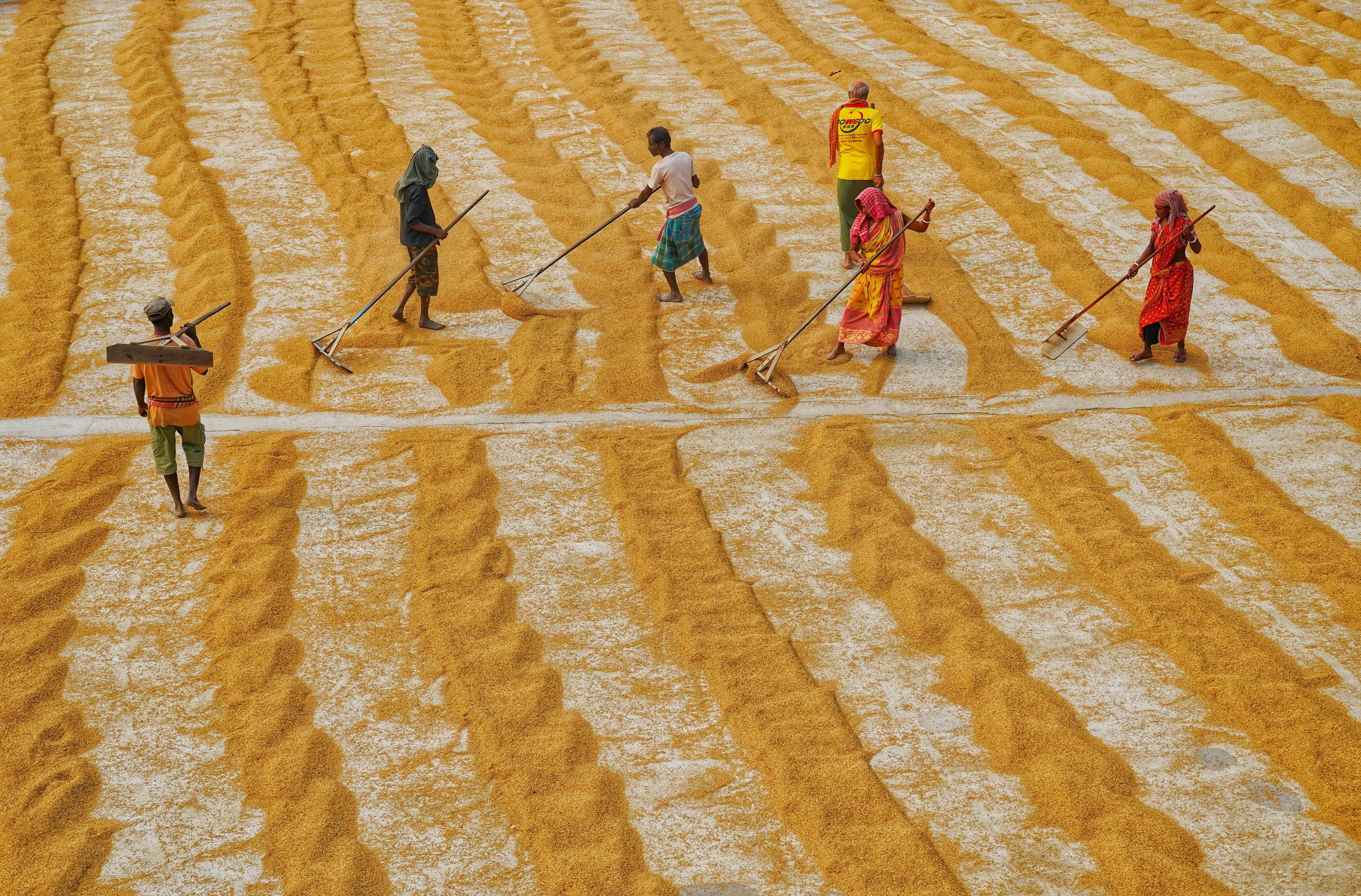 Food systems account for 10% of global gross domestic product (GDP) and 40% of jobs.