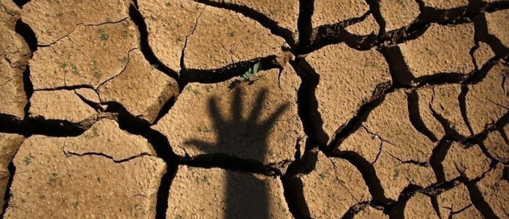 Genetic engineering: a solution to drought