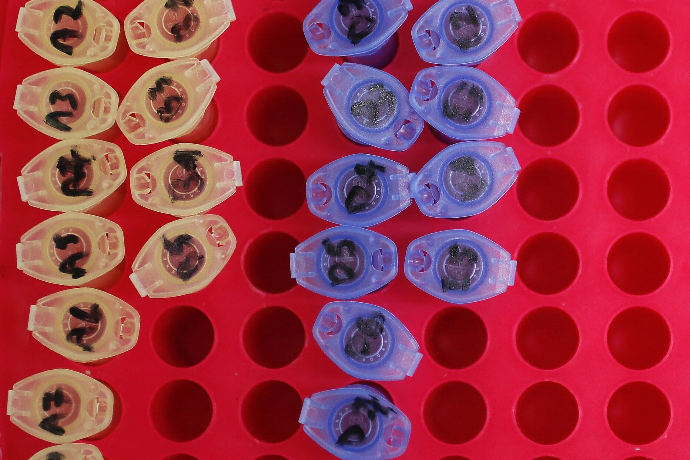 Se observan tubos de análisis de proteínas en un laboratorio del Instituto de Investigación del Cáncer en Sutton, el 15 de julio de 2013: el uso de GenAI en las ciencias de la vida puede ampliar el análisis.