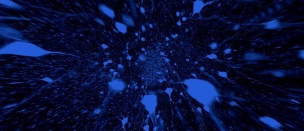 La neurociencia de la pobreza