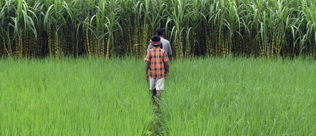 The missing assets in farming’s supply chain