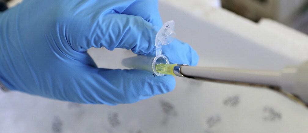 How bacteria can help detect cancer