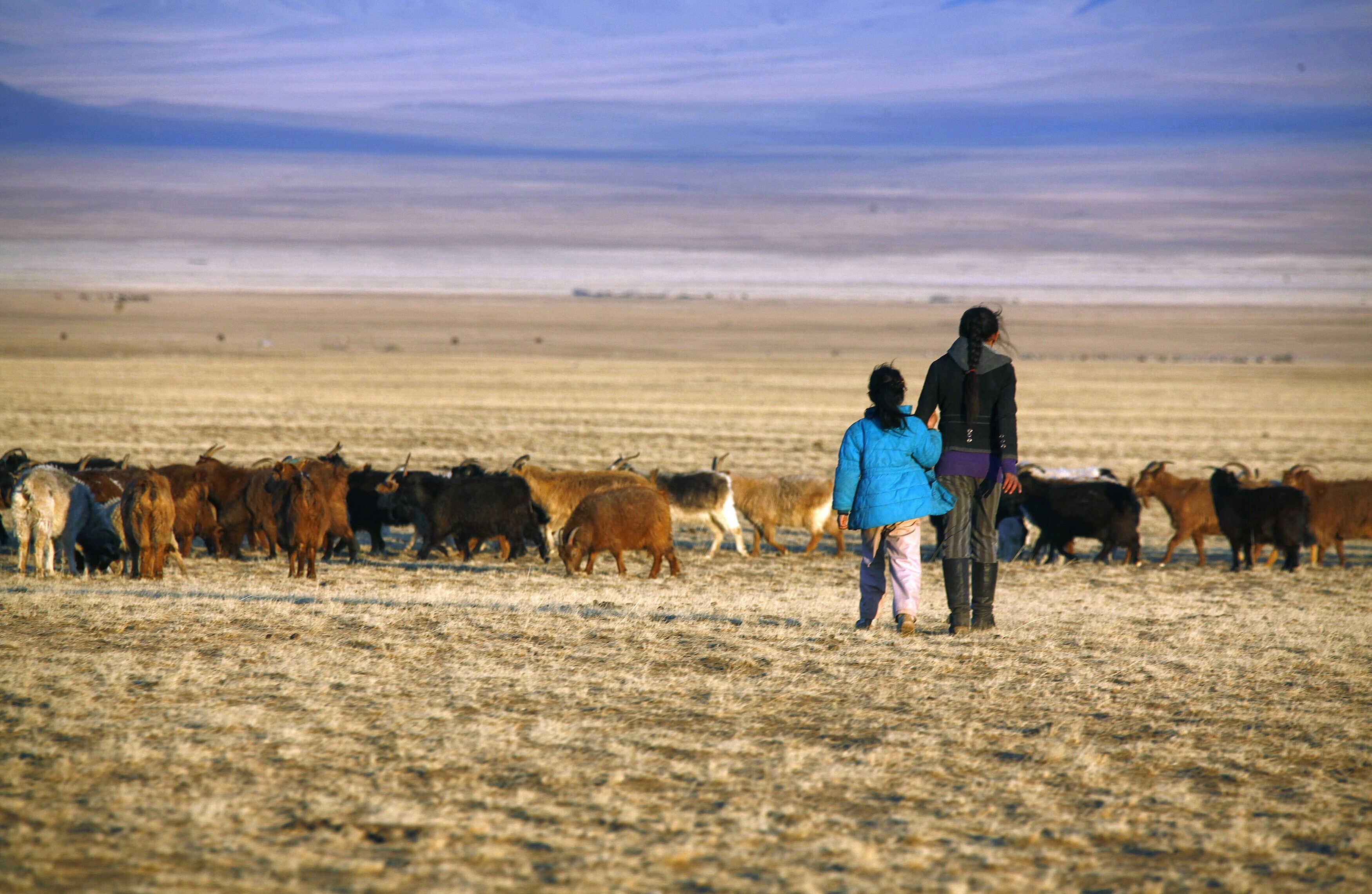 Hermanas caminan juntas mientras trasladan un rebaño de cabras en las praderas ubicadas a unos 200 km al suroeste de la capital mongola, Ulán Bator, el 4 de abril de 2012. Mongolia sigue siendo el país menos densamente poblado del planeta, con 1,7 personas por kilómetro cuadrado. Los 2,7 millones de habitantes están distribuidos en un área tres veces más grande que Francia, con dos quintas partes de los mongoles viviendo en zonas rurales. Imagen tomada el 4 de abril de 2012: la transformación digital de Mongolia debe priorizar la equidad y el acceso.