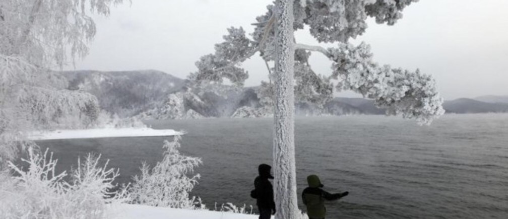 Why Russia’s forests must be protected