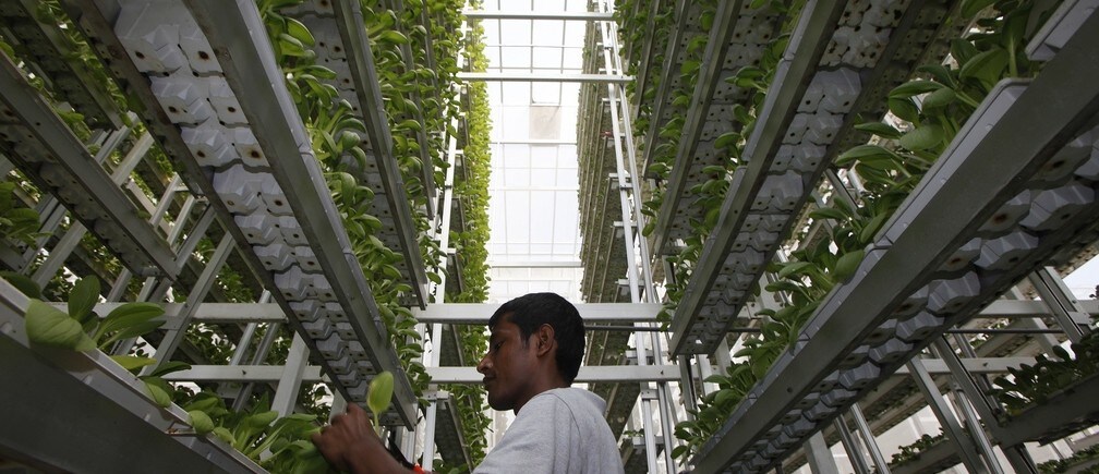 The technology that will help feed 9 billion people