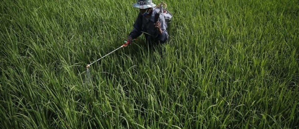 How do we protect global food supplies from extreme weather?