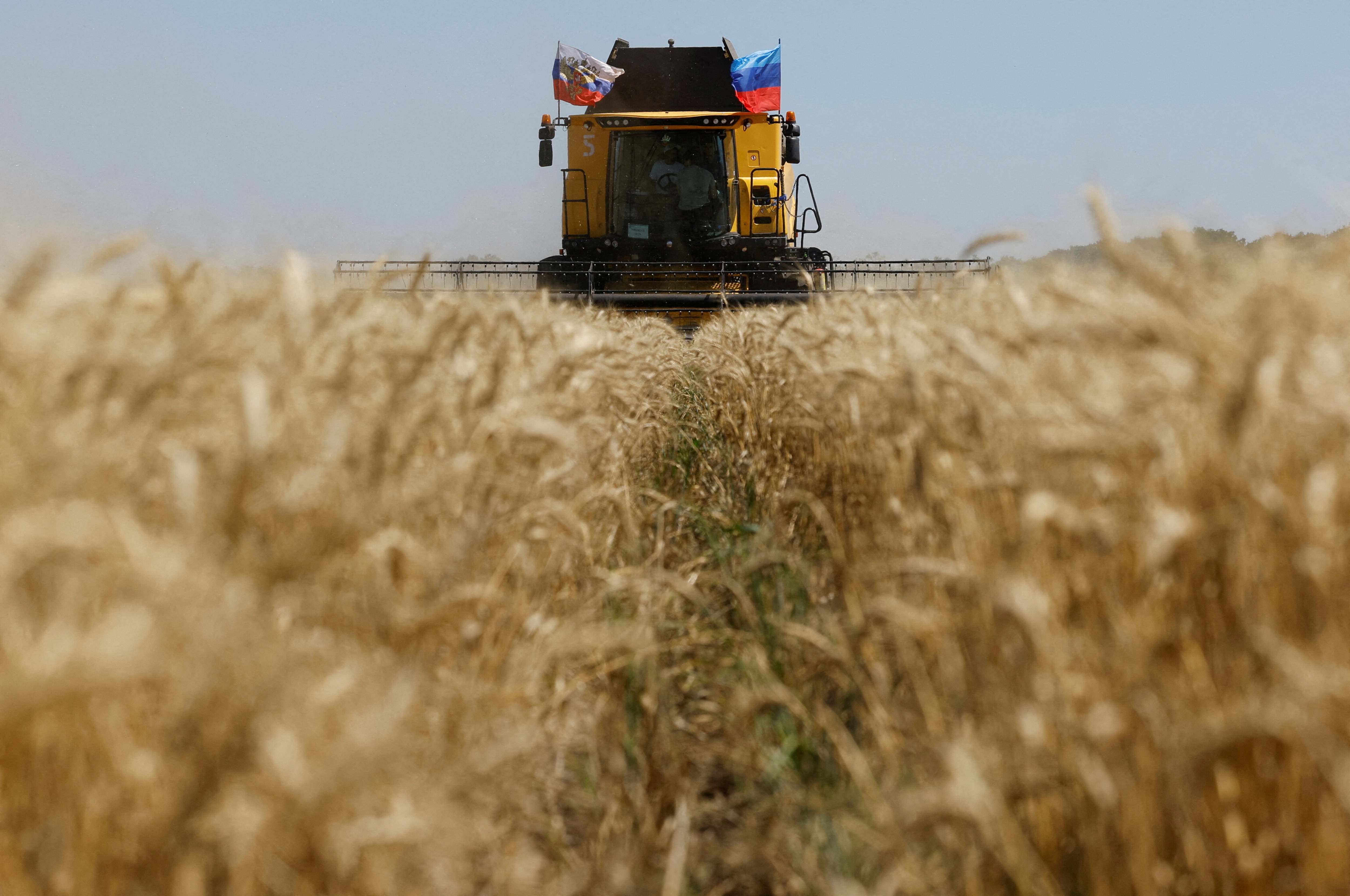 A farmer in a combine harvester harvests wheat in Ukraine amid concerns about crop yield due to fertilizer shortages. 