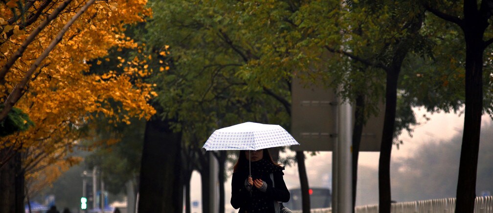 日本の「泣ける部屋」など、今週のジェンダー関連ニュース