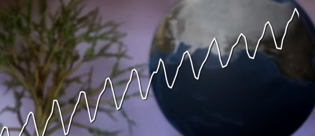 Can we fight carbon emissions from space?