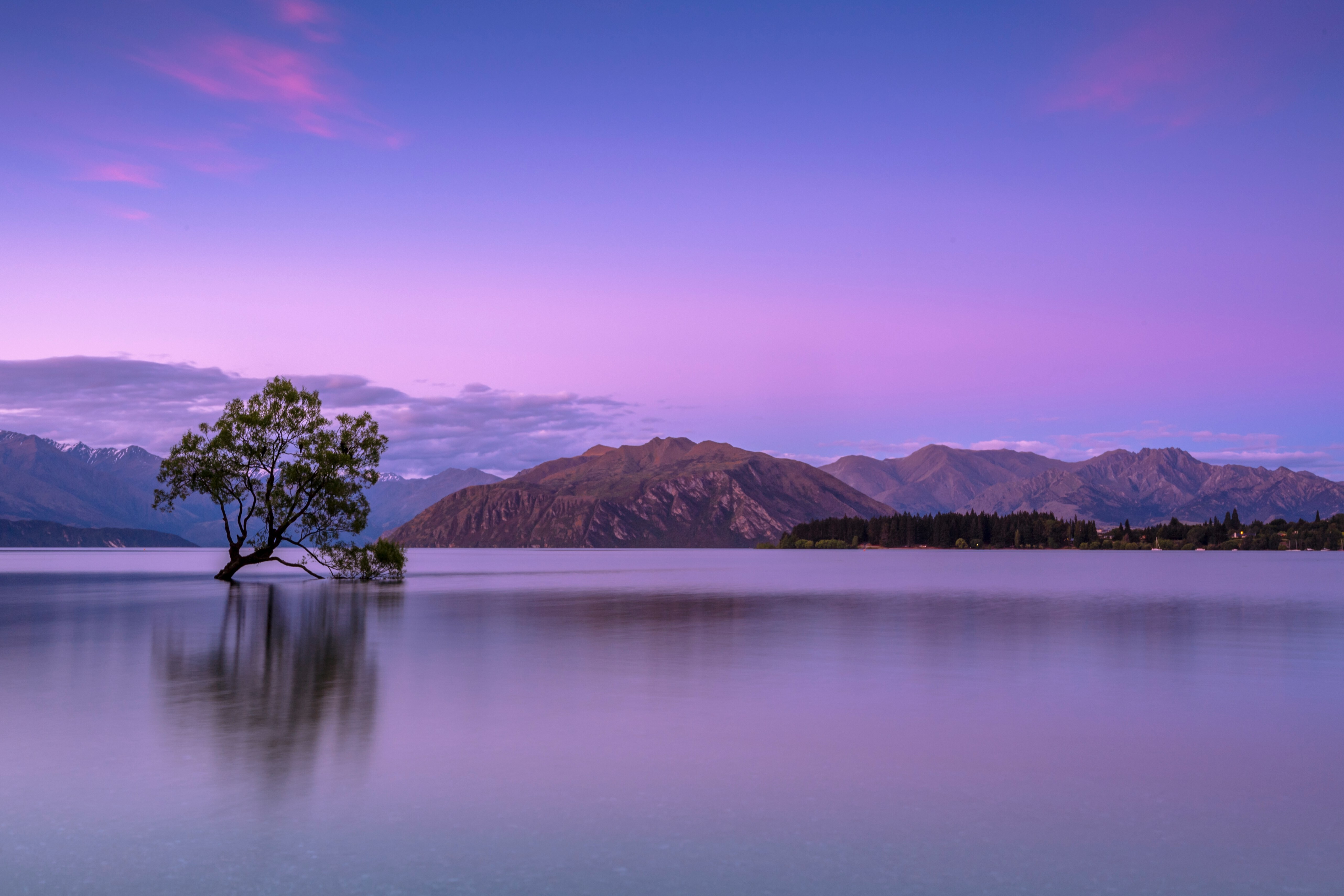 Tree on body of water near mountains in Wanaka, Otago, New Zealand: A well-being economy reframes progress around quality of life and human and planetary health.