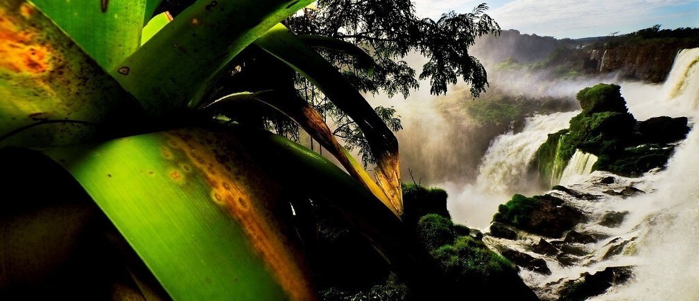 New hope to avert climate catastrophe