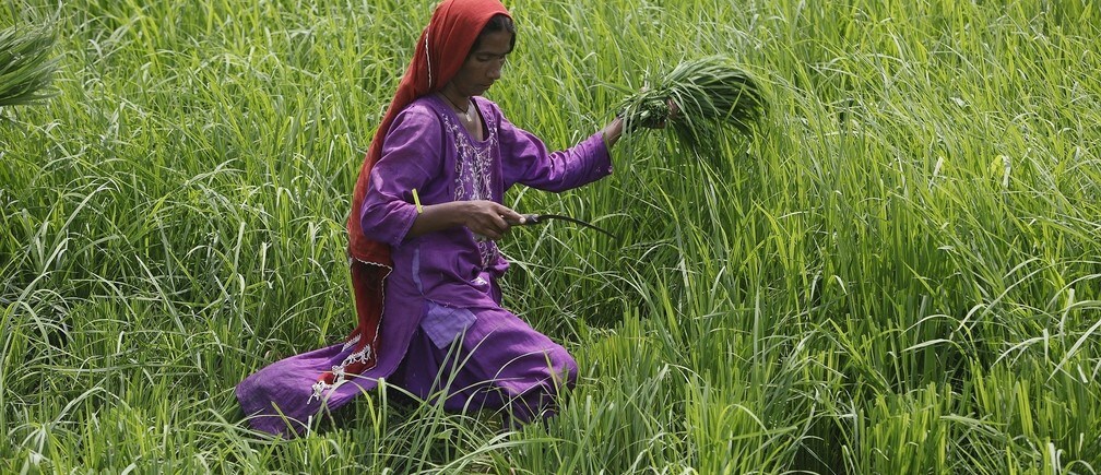 Can the Paris climate deal protect poor farmers from climate change?
