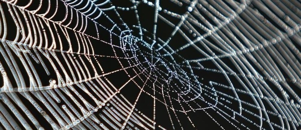 Por qué la web no es tan meritocrática como crees