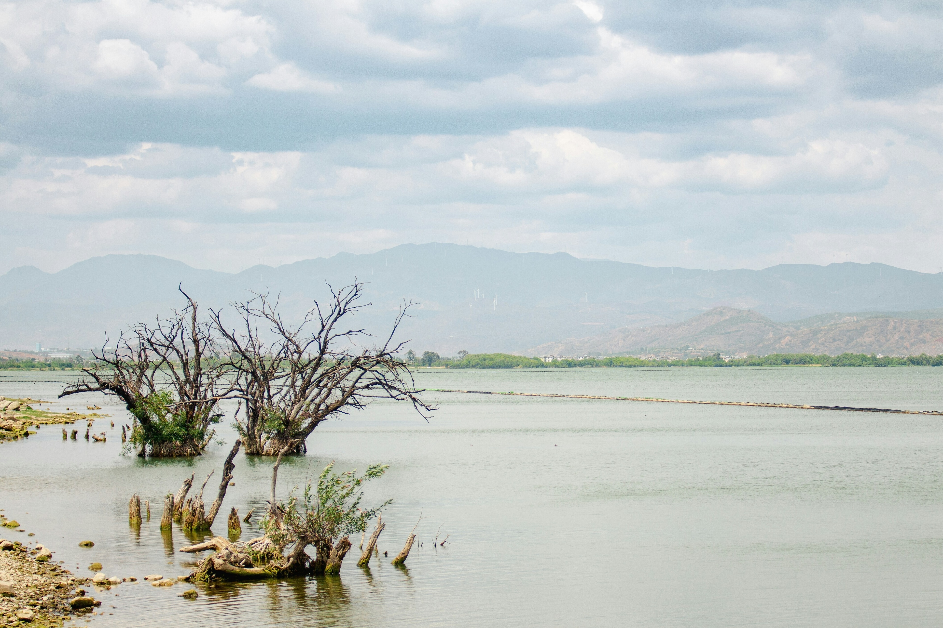 Companies must build climate resilience to protect against increasing hazards.