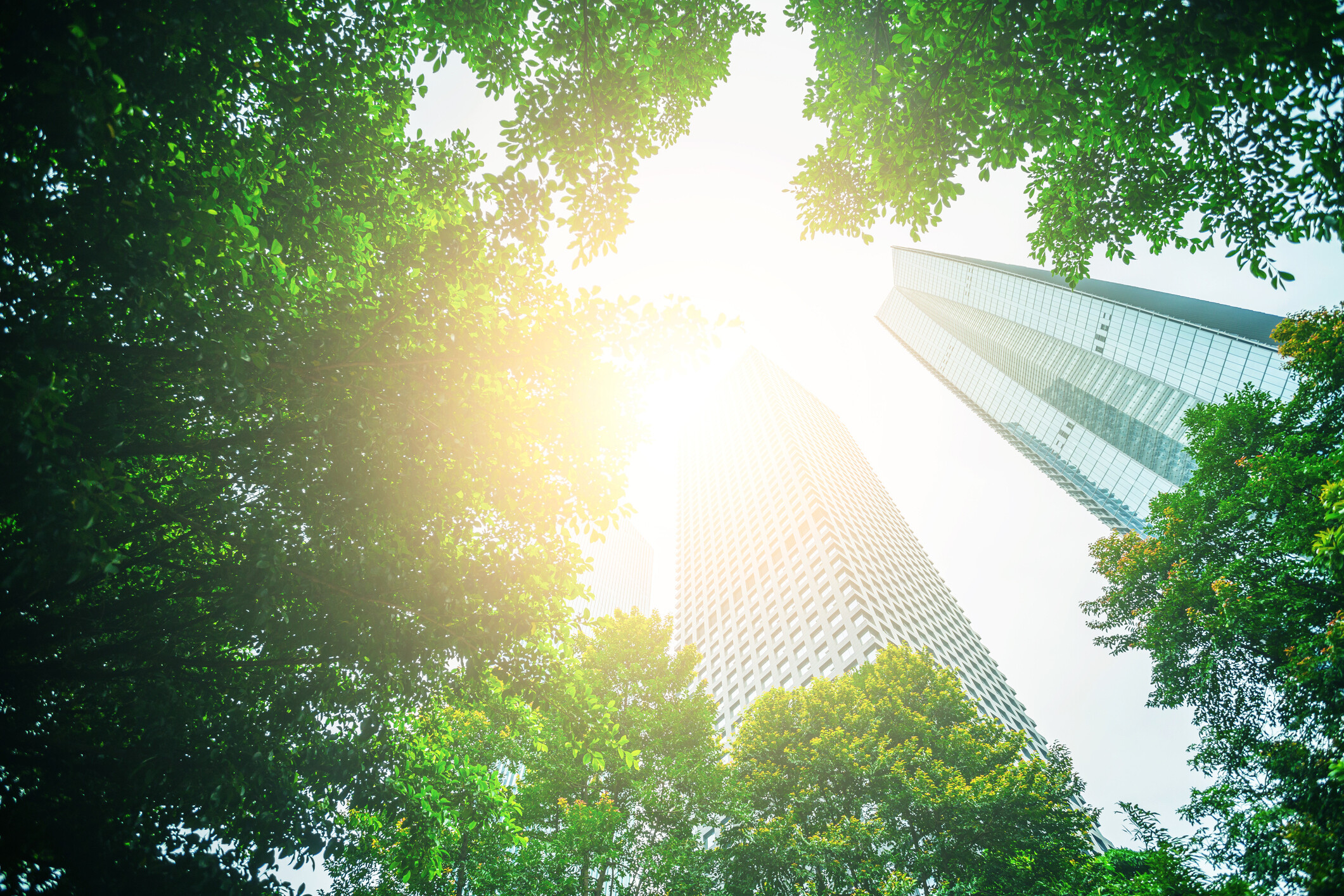 Business towers and Green leaves; nature-positive business