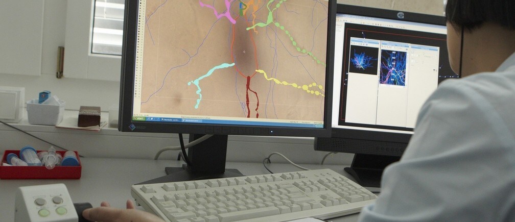 How gene activity in the brain affects behaviour