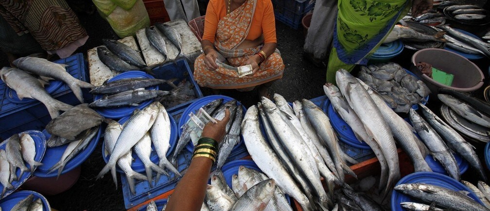 Why we need to close the fishing industry gender gap