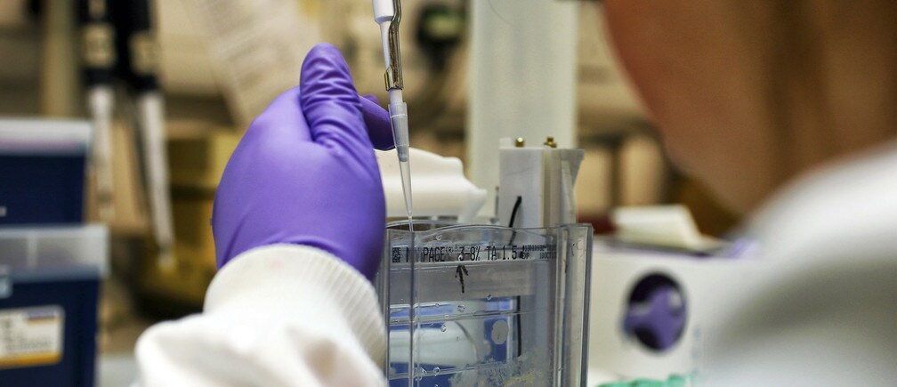 为什么世界需要拥抱科学