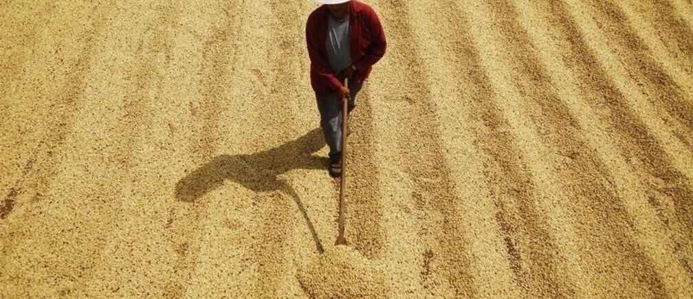 Why are most of the world’s hungry people farmers?