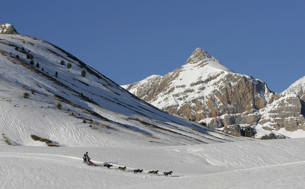 A musher guides his sled during the 17 km (10.5 miles) second stage of the Pirena 2008 Grand Prix Affinity sled dog race in Partacua-Piedrafita, in the Pyrenees mountains in northern Spain, January 21, 2008. REUTERS/Joseba Etxaburu (SPAIN) - GM1DXCAMGMAA