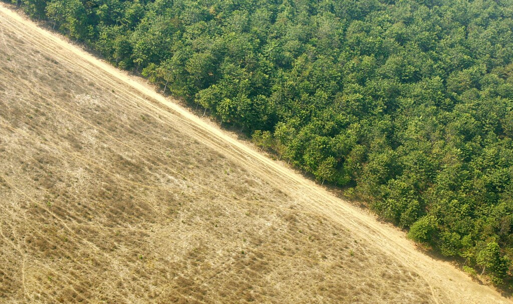 Aerial view shows farmland next to the Amazon rainforest in Mato Grosso state August 9, 2005. The Brazilian government announced the latest data on deforestation of the Amazon Basin, with a total of 26,130 square km (10,089 square miles) of rainforest destroyed, equivalent to more than nine football fields every minute, during the 12-month period ending in August, 2004. The Amazon is home to up to 30 percent of the planet's animal and plant species. REUTERS/Bruno Domingos BD/KS also see GF1DVXADCRAA - RP6DRMUPZHAB