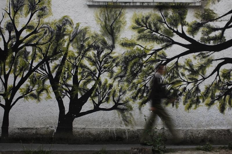 A man walks past a mural of trees in Mexico City August 6, 2012. REUTERS/Tomas Bravo (MEXICO - Tags: SOCIETY TPX IMAGES OF THE DAY) - GM2E8870QRZ01