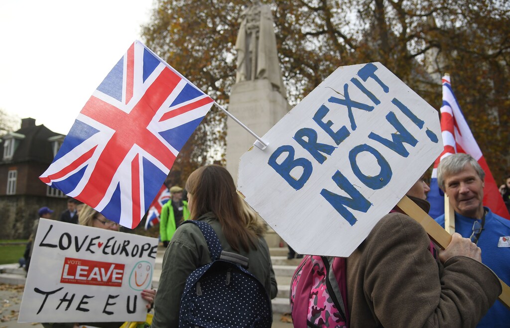 Demonstrators supporting Brexit protest outside of the Houses of Parliament in London, Britain, November 23, 2016. REUTERS/Toby Melville - RTSSYZ0