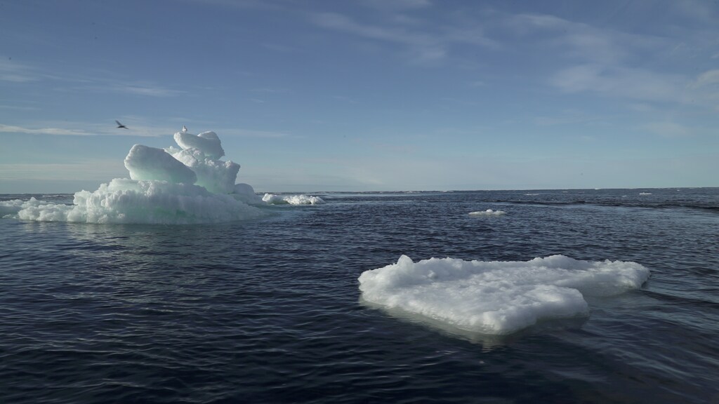 floating ice is seen during the expedition of the The Greenpeace's Arctic Sunrise ship at the Arctic Ocean, September 14, 2020
