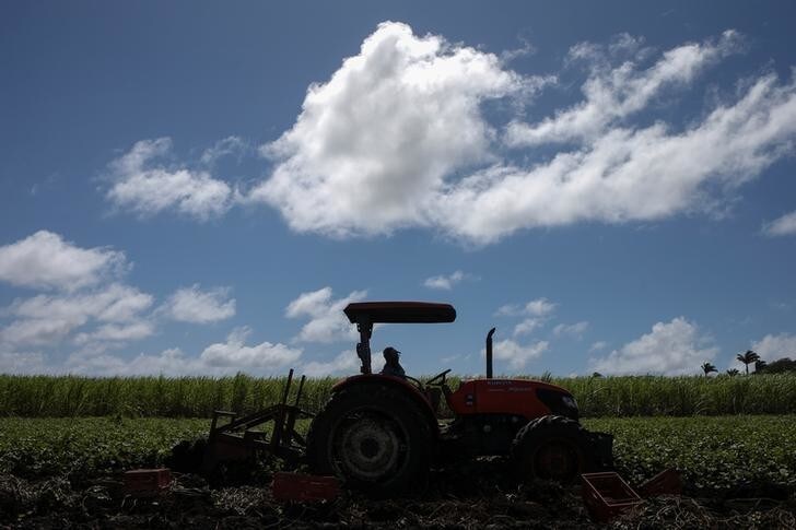 A man rests in a tractor in front of a sugarcane field at the Foursquare Rum Distillery in St. Philip, Barbados on December 2, 2016. Picture taken on December 2, 2016. REUTERS/Adrees Latif