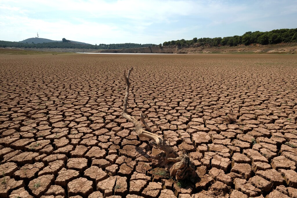 The remains of a dead tree are pictured at the almost empty Maria Cristina water reservoir during a severe drought near Castellon, Spain, September 14, 2018. REUTERS/Heino Kalis - RC1D52A2BDC0