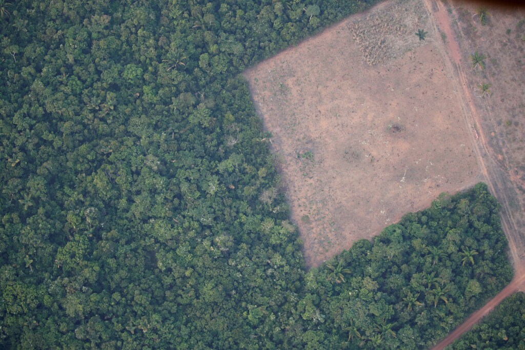 An aerial view shows a deforested plot of the Amazon near Porto Velho, Rondonia State, Brazil August 21, 2019. Picture taken August 21, 2019.