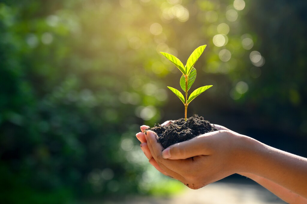Biodiversity credits: the nature finance gap remains at over $700 billion per year.