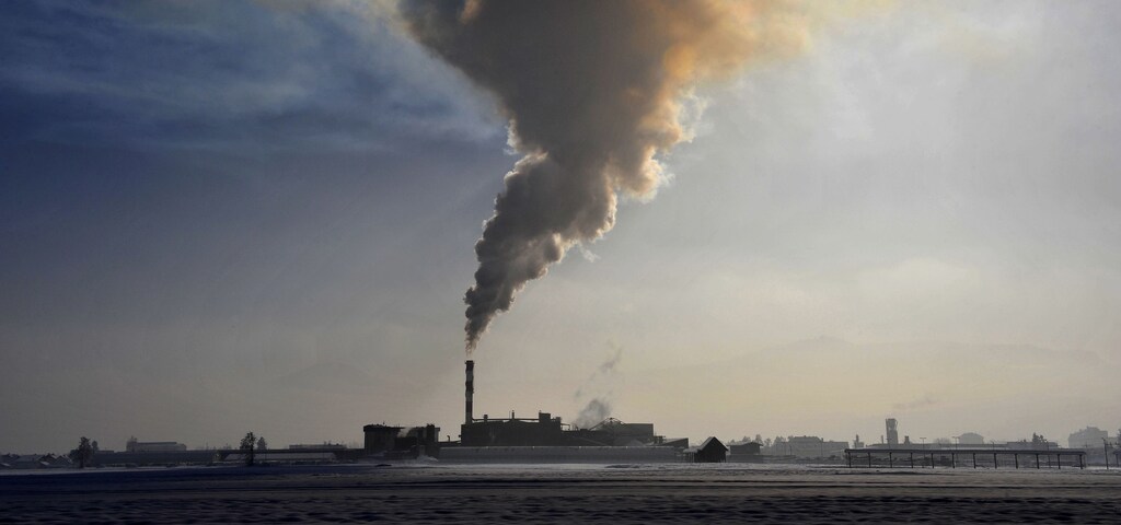 Smoke billows from a chimney of the Termika factory in Skojfa Loka January 21, 2010.