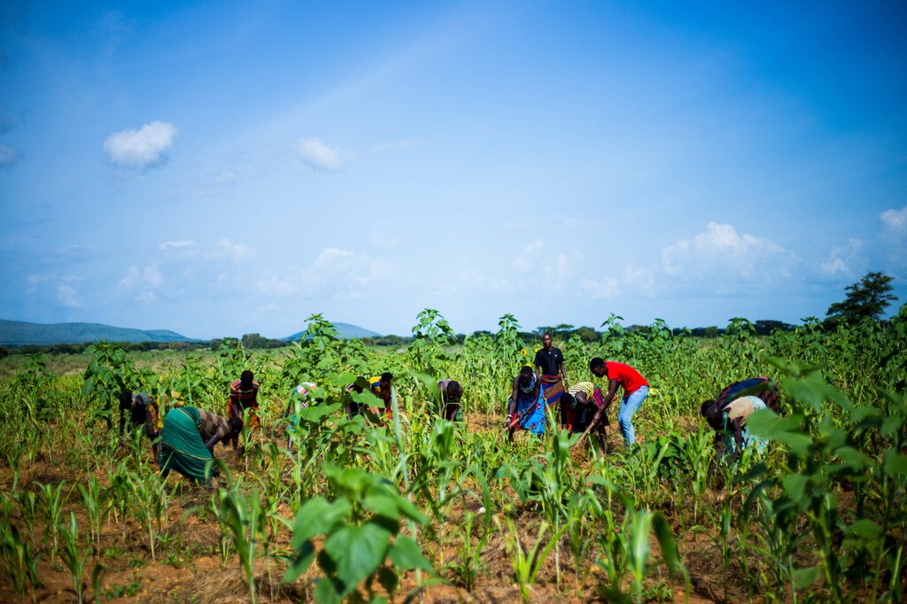 Young people planting trees in the Karamoja District of Uganda