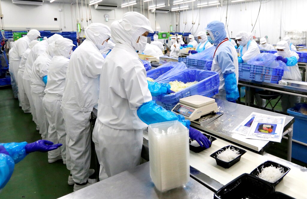 Workers pack salads at Delicious Cook & Co's food factory in Narashino, Japan, April 17, 2018. REUTERS/Toru Hanai - RC134D278970