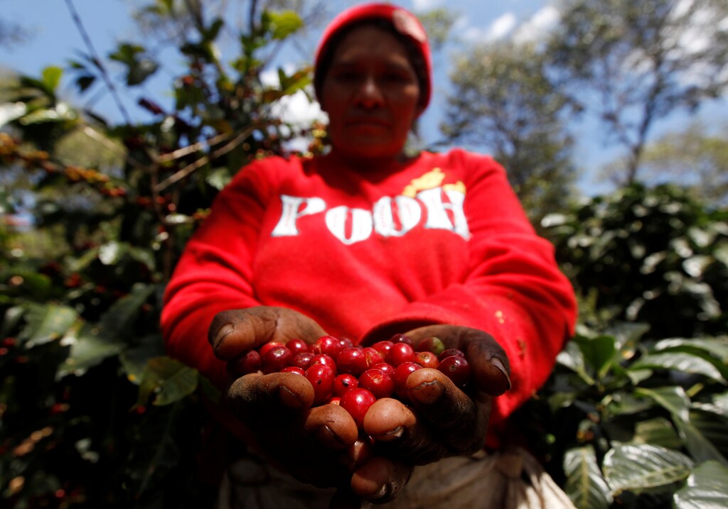 Women and girls, like Narcisa Paz (pictured) who owns a coffee farm and is an associate of the Cooperative of Rural Women of La Paz, are an essential part of the global push for climate resilience.