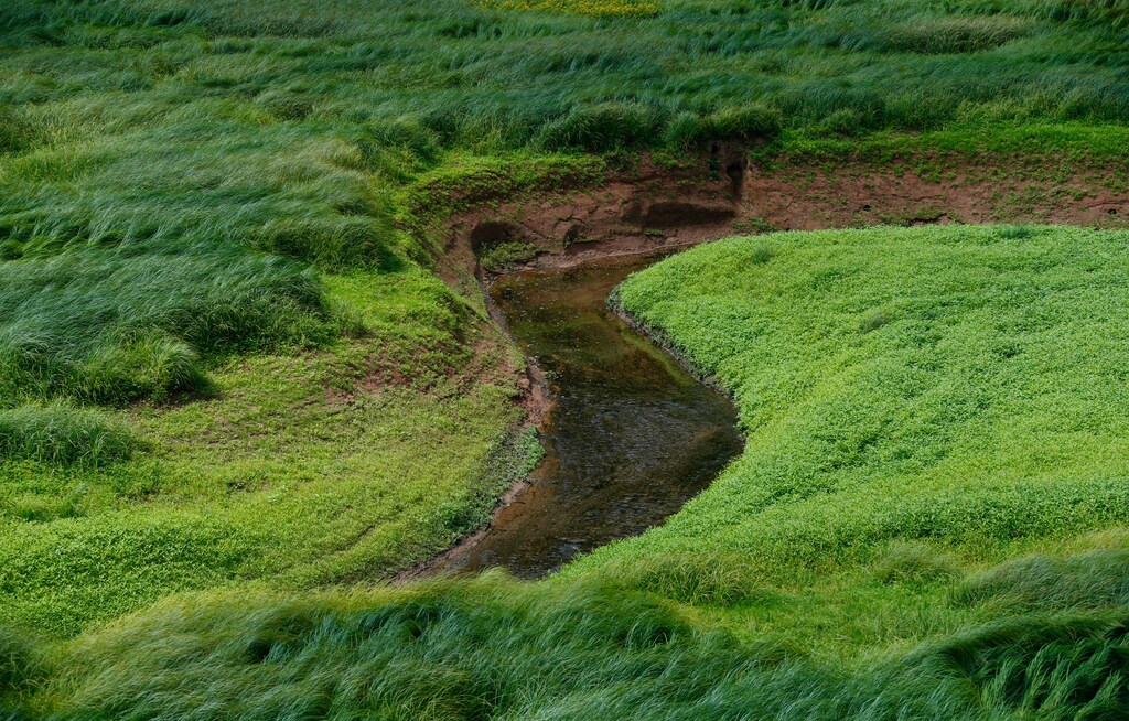 A water intake of the low water level Edersee reservoir is pictured in Nieder-Werbe near Waldeck, Germany July 22, 2017. Picture taken July 22, 2017. REUTERS/Ralph Orlowski - RTX3CYOG
