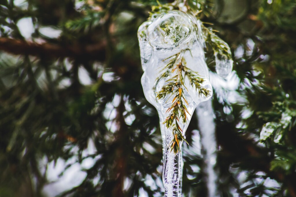 Climate change and biodiversity loss are linked in complex ways – neither can be solved if we don't undergo a major paradigm shift.