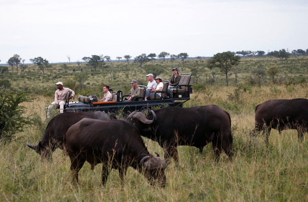 Tourists are seen at a Safari watching a herd of buffaloes at a game reserve adjacent to the world-renowned Kruger National Park in Mpumalanga province, South Africa, April 11, 2019. Picture taken April 11, 2019. REUTERS/Siphiwe Sibeko - RC2V6H9CCNZV