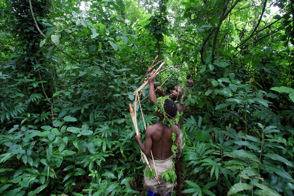 Ugandan pygmies hunt for monkeys in in Bundibugyo district's Semiliki national park rain forest, west of the capital Kampala, August 8, 2006. The United Nations General Assembly passed Resolution 49/214 on December 23, 1994 declaring August 9 of every year as International Day of the World's Indigenous People. Picture taken August 8, 2006. REUTERS/James Akena (UGANDA) - GF1DTFVILUAA