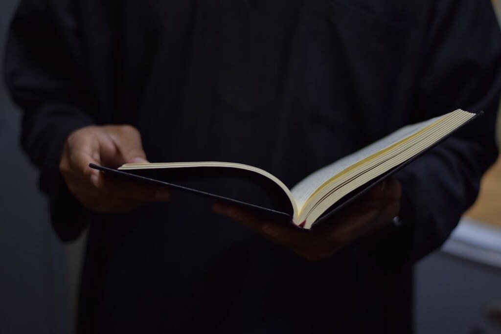 picture of someone reading a book