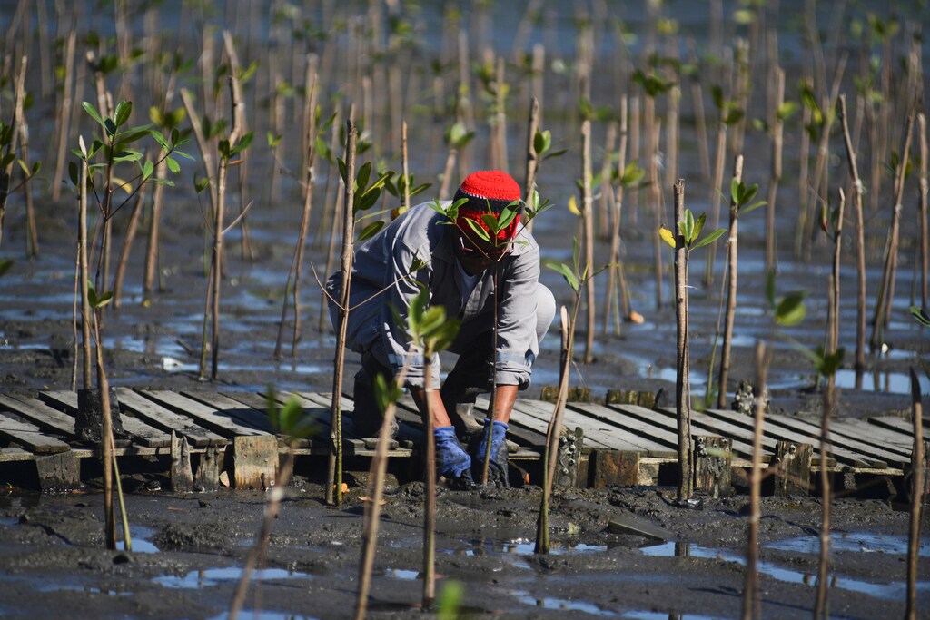 natural-climate-solutions-what
