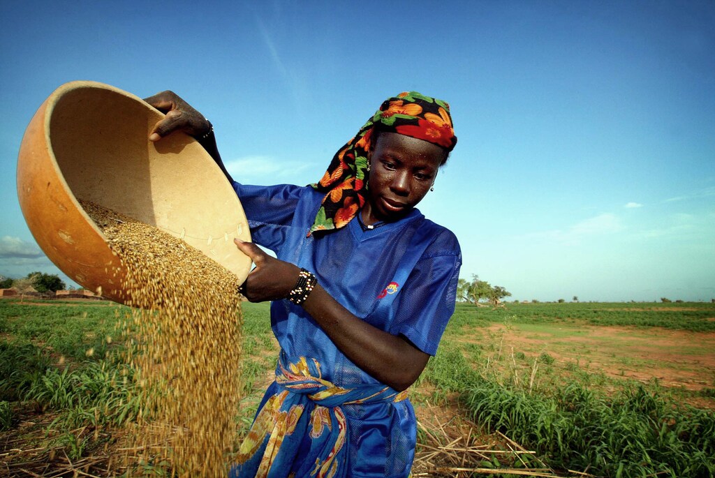 A woman sorts millet at a farming village outside Niger's capital Niamey July 4, 2005. More than 40 percent of Africans live on less than $1 a day, 200 million Africans are threatened by serious food shortages and AIDS kills more than 2 million Africans a year. Aid, debt relief and climate change top the agenda when leaders of the G8 meet for three days from Wednesday in Gleneagles, Scotland. Picture taken July 4, 2005. REUTERS/Finbarr O'Reilly FOR/mk - RP6DRMTUZRAA