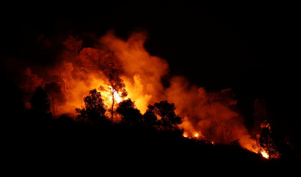 Trees burn during a forest fire near Maials, west of Tarragona, Spain, June 27, 2019. REUTERS/Albert Gea - RC1E29B0C180