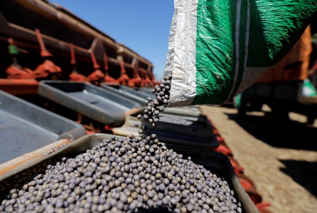 Farmers prepare soybean seeds to plant in a field in Hernandarias, Paraguay February 7, 2017.