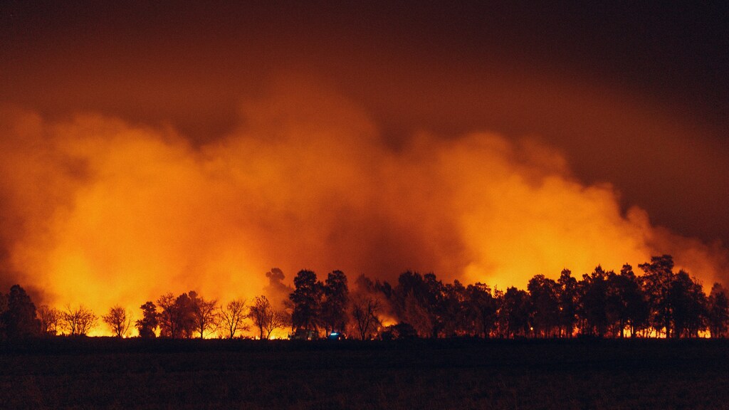 Wildfire.