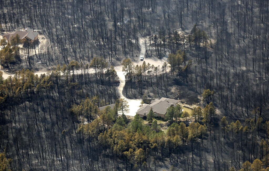 A house sits undamaged in the aftermath of the Black Forest Fire in Black Forest, Colorado June 13, 2013. Hundreds of firefighters made a determined stand on Thursday to stop the wildfire that has already destroyed some 360 homes from roaring into the outskirts of Colorado Springs after it billowed overnight into the most destructive blaze in state history. REUTERS/Rick Wilking (UNITED STATES - Tags: DISASTER ENVIRONMENT TPX IMAGES OF THE DAY) - GM1E96E0K8H01