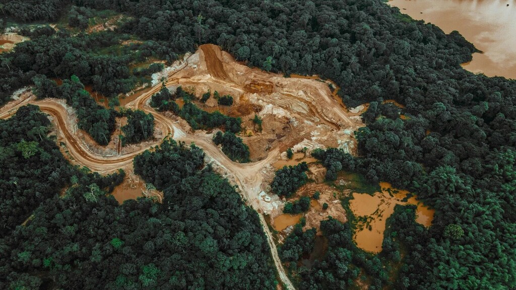 Vista aérea de un camino de tierra en medio de un bosque en Trinidad y Tobago: La eficacia del enfoque paisajístico y jurisdiccional de la deforestación reside en la colaboración.