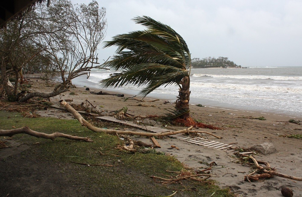 A palm tree is damaged on a beach near Port Vila, the capital city of the Pacific island nation of Vanuatu March 14, 2015. Winds of up to 250 kilometers an hour (155 mph) ripped metal roofs off houses and downed trees in Vanuatu on Saturday, as relief agencies braced for a major rescue operation and unconfirmed reports said dozens had already died. Witnesses described sea surges of up to eight meters (yards) and flooding throughout the capital Port Vila after the category 5 cyclone named Pam hit the country late on Friday. Picture taken March 14, 2015. REUTERS/Kris Paras (VANUATU - Tags: DISASTER ENVIRONMENT) - RTR4THUK
