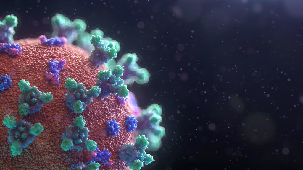The COVID-19 virus